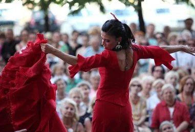 FLAMENCO NAMIĘTNE